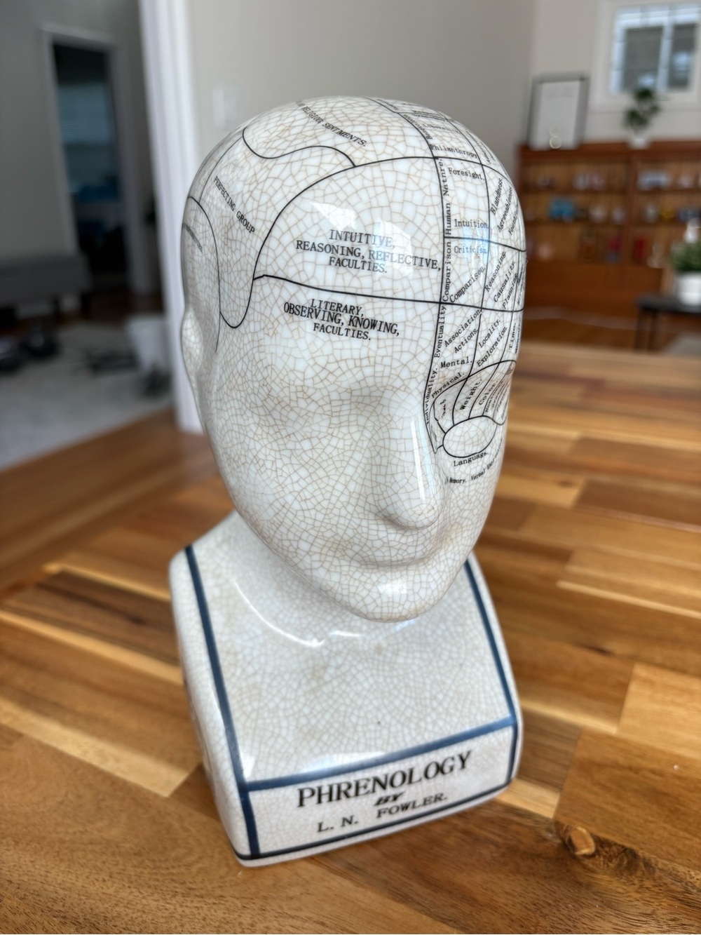 PHRENOLOGY HEAD by L.N. FOWLER Porcelain Ceramic Bust 9X4